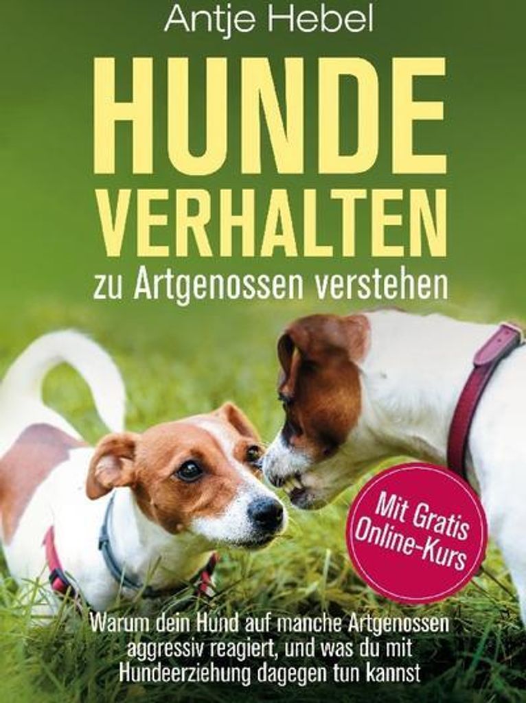 Hundeverhalten zu Artgenossen verstehen