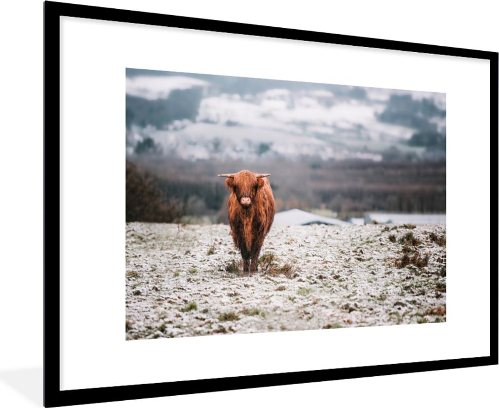 MuchoWow Gerahmtes Poster Schottischer Highlander - Schnee - Himmel 90x60 cm - Poster mit Schwarzem Bilderrahmen Wandposter Rahmen Foto Bilder - ...