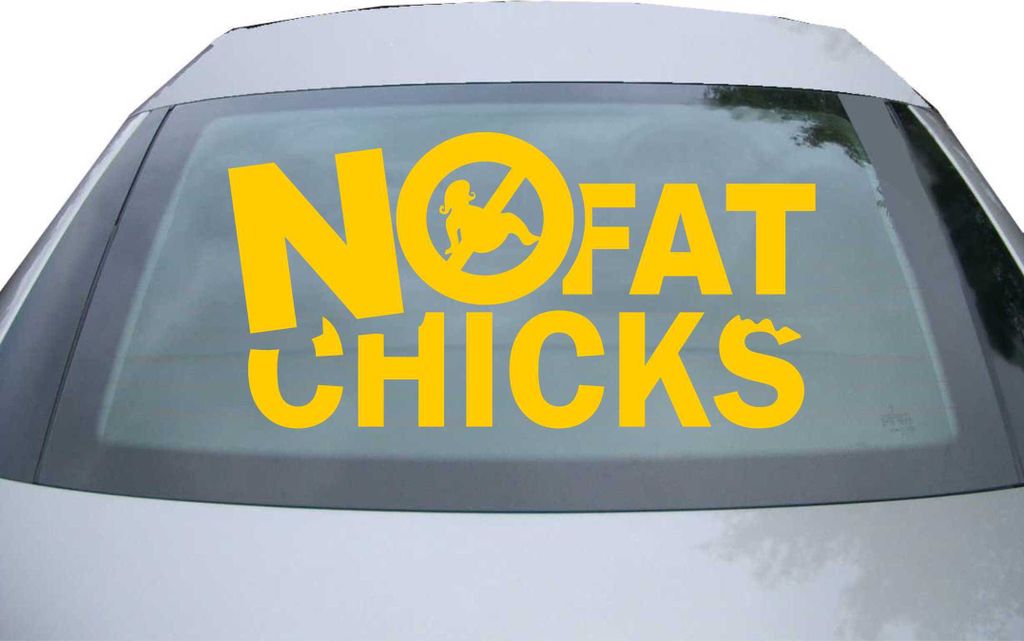 Indigos UG - Aufkleber Heckscheibe & Motorklappe DE2017 - gold - 600x302 mm - NO FAT CHICKS - Auto Scheiben Fenster Heckklappe Tuning Racing JDM - ...