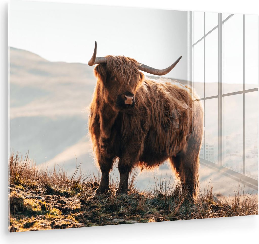 MuchoWow Glasbilder - Bilder auf Wandbild - Foto auf Glas Schottische Hochlandrind - Tiere - Ländlich - Landschaft - Kuh - Natur 40x30 cm Wanddeko...