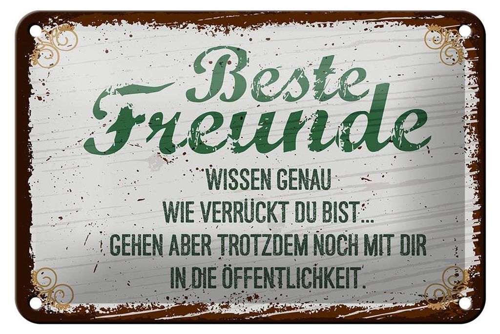 Blechschild Spruch 12x18cm Beste Freunde wissen grün braun