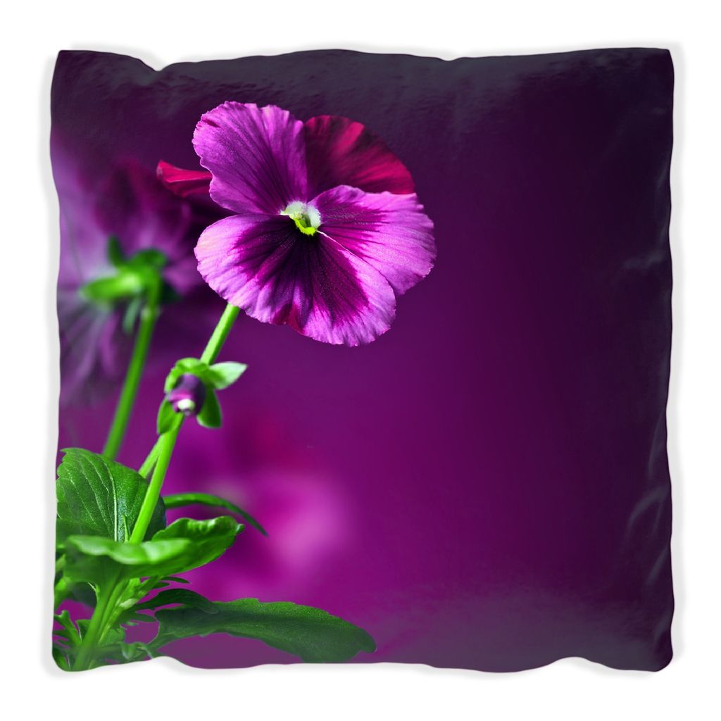 Wallario Premium Kissen, weiche Oberfläche, mit Motiv Lila Stiefmütterchen, Größe: 30 x 30 cm, mit weißer Rückseite