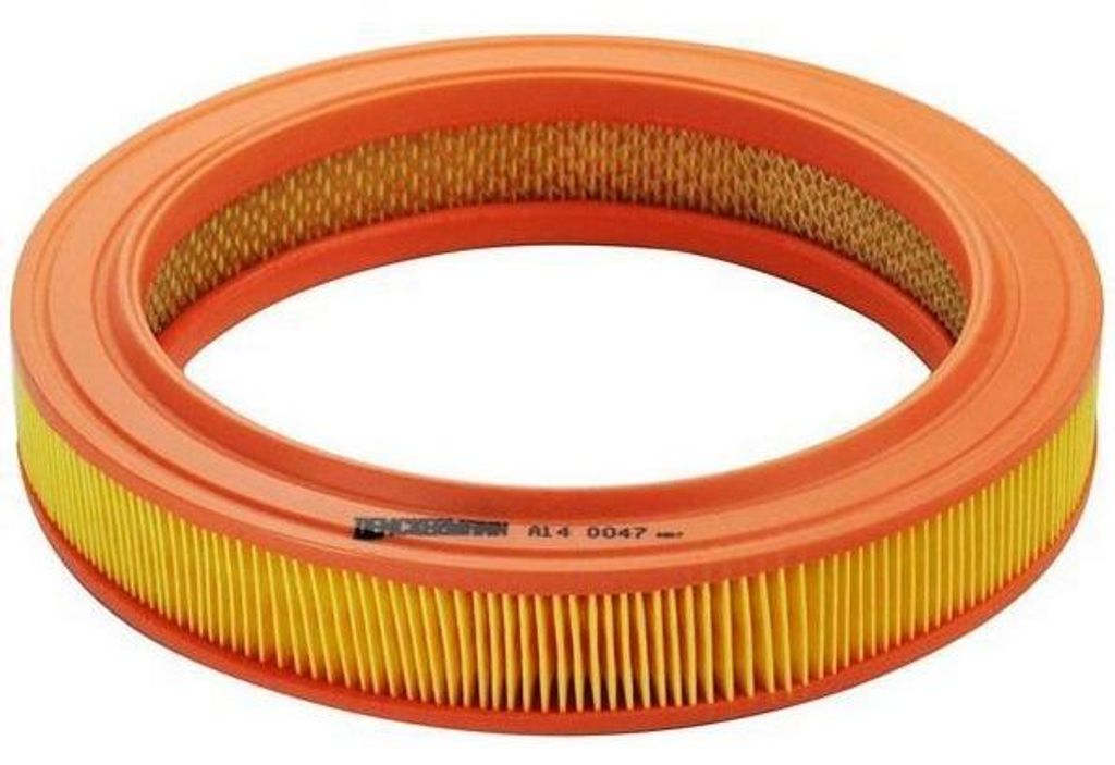 EBG Motorluftfilter Ford 1444L5 6080390 79BF9601AA