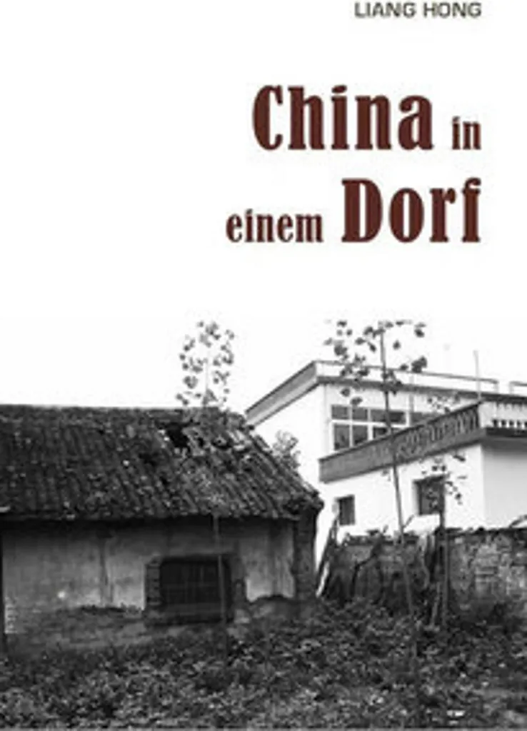 Livre La Chine dans un village décrypter la mutation