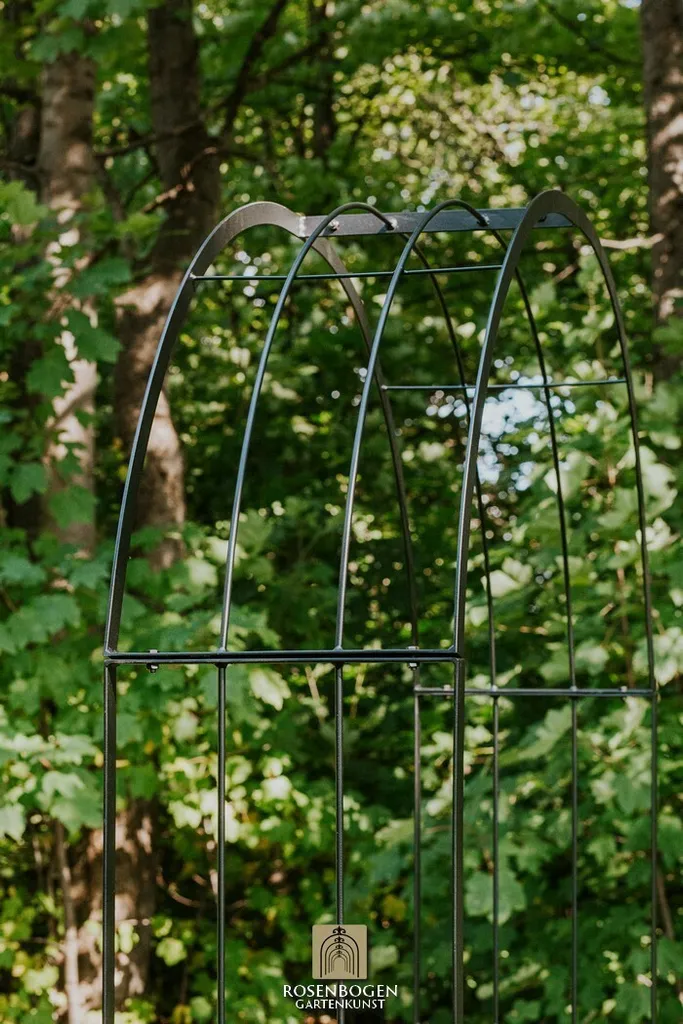 Arc de roses galvanisé EMMA 120 cm - Structure résistante aux intempéries - 10
