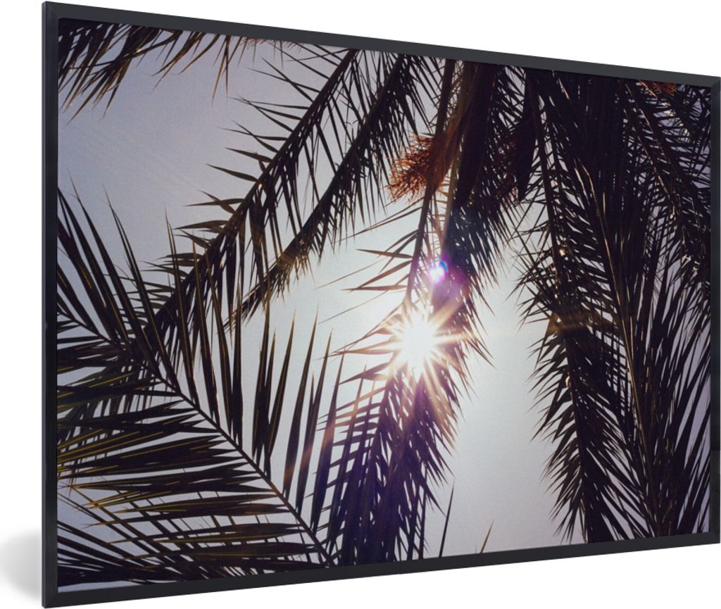MuchoWow Gerahmtes Poster Palmwedel - Sonne - Sommer 90x60 cm - Poster mit Schwarzem Bilderrahmen Wandposter Rahmen Foto Bilder - Fotorahmen - Fo...