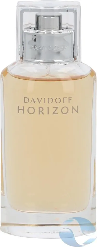 Davidoff Horizon Eau de Toilette aux Notes de Gingembre et Cèdre 125ml