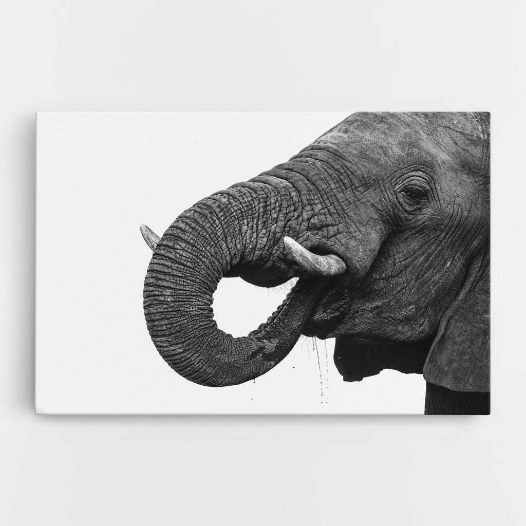 ARTHUB Leinwandbild 30x40 cm, Elephant Drinking | Wohnzimmerdekoration, Hängende Bilder, Wanddekoration, Heimdekoration, Moderne, Schwarz-Weiß
