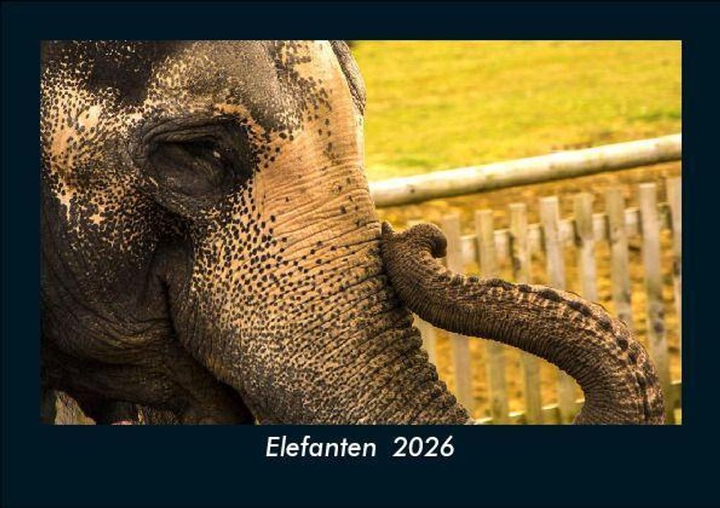 Elefanten 2026 Fotokalender - Querformat DIN A5, Monatskalender mit Bild-Motiven von Haustieren, Bauernhof, wilden Tieren und Raubtieren