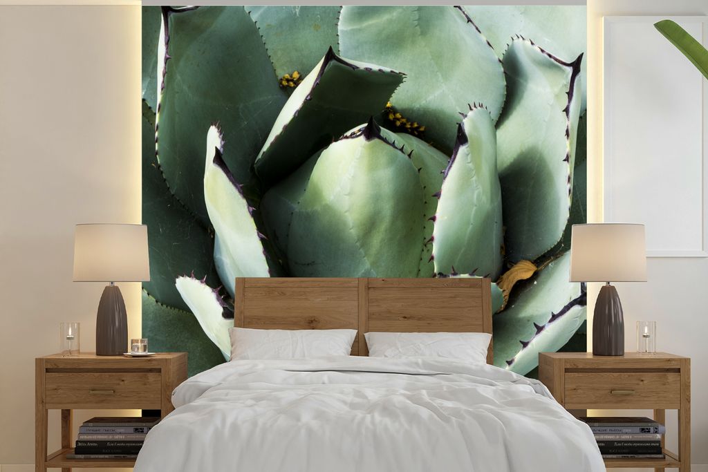 MuchoWow Fototapete für Wohnzimmer oder Schlafzimmer Wandtapete Vinyl Motivtapete Detail eines mintgrünen Kaktus - 350x350 cm - Schlafzimmertapete