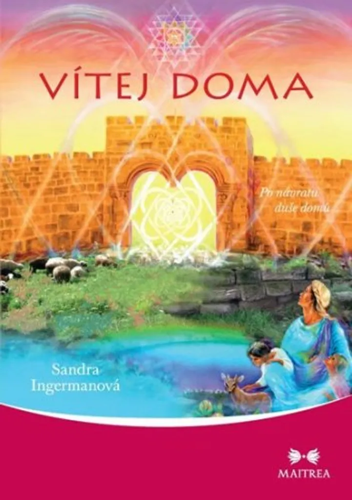 Vítej doma - Po návratu duše domů par Sandra Ingerman - Relié