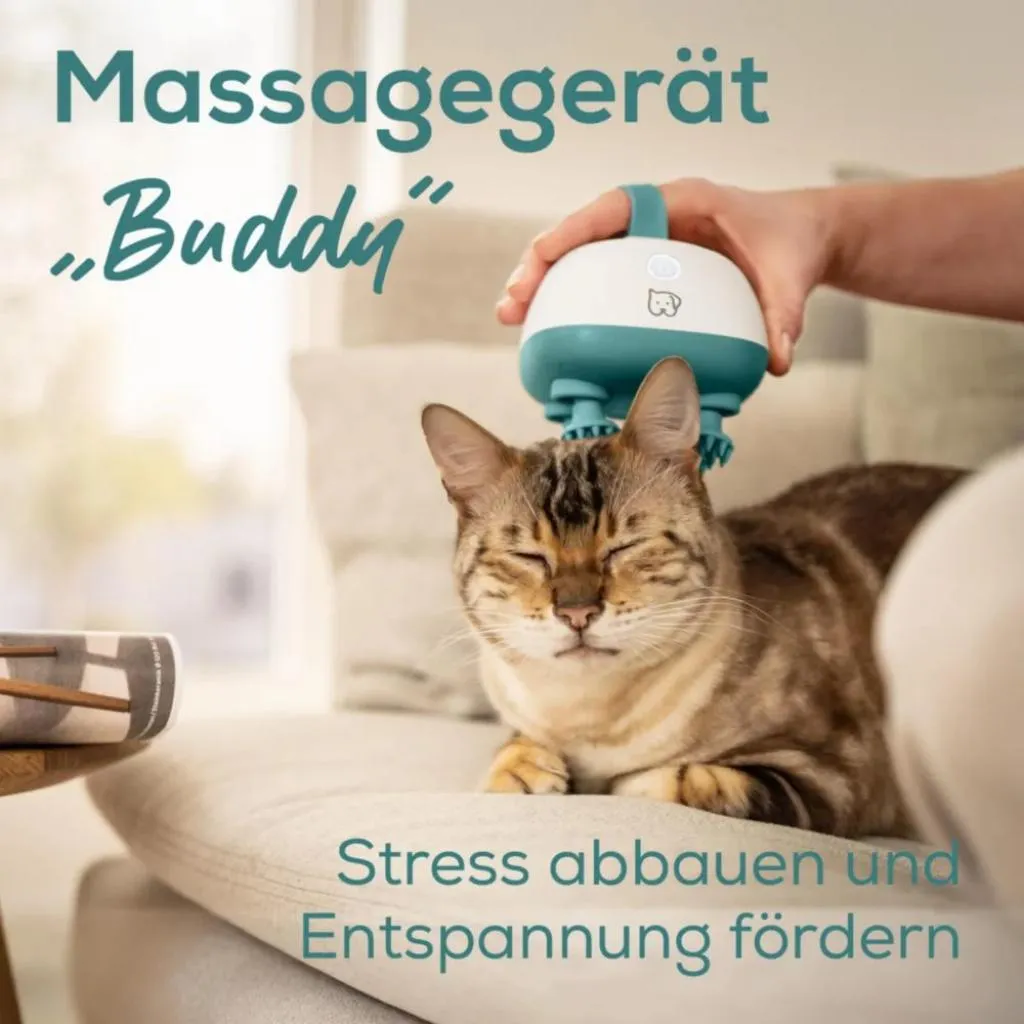 Adieu tensions musculaires avec le masseur Beurer PP 410 Buddy vibrant