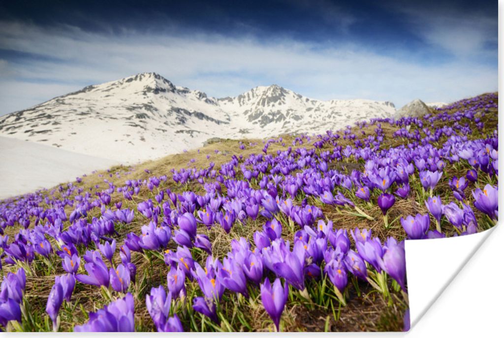 MuchoWow Poster Berge - Schnee - Blumenwiese 90x60 cm - Schlafzimmer