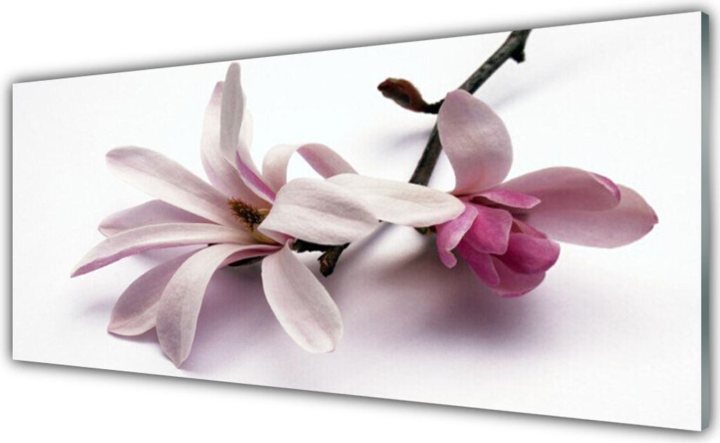 Küchenrückwand aus Glas 125x50cm Spritzschutz Blume Pflanzen