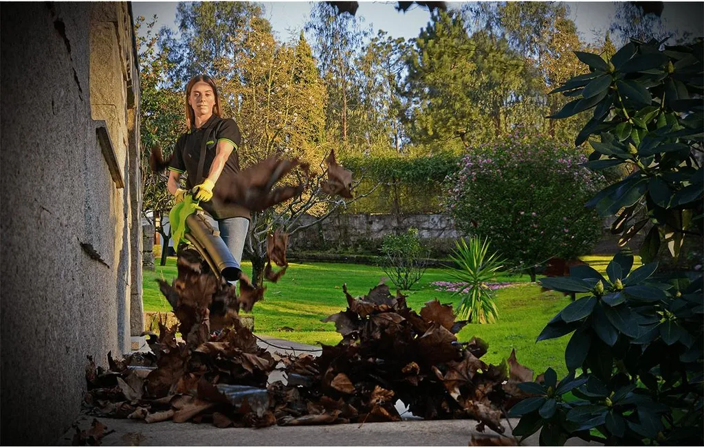 Trasforma il tuo Giardino con VITO 3000W - Aspiratore Foglie Potente - 3