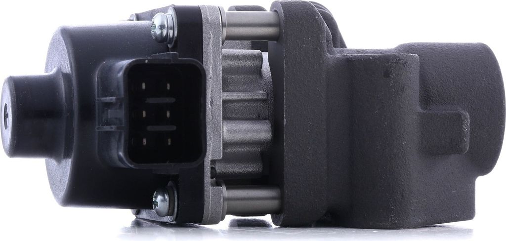 RIDEX 4198E0102 Abgaskühler AGR-Modul für FIAT Sedici (FY) für SUZUKI SWIFT III (MZ, EZ) für SUBARU JUSTY III (G3X)