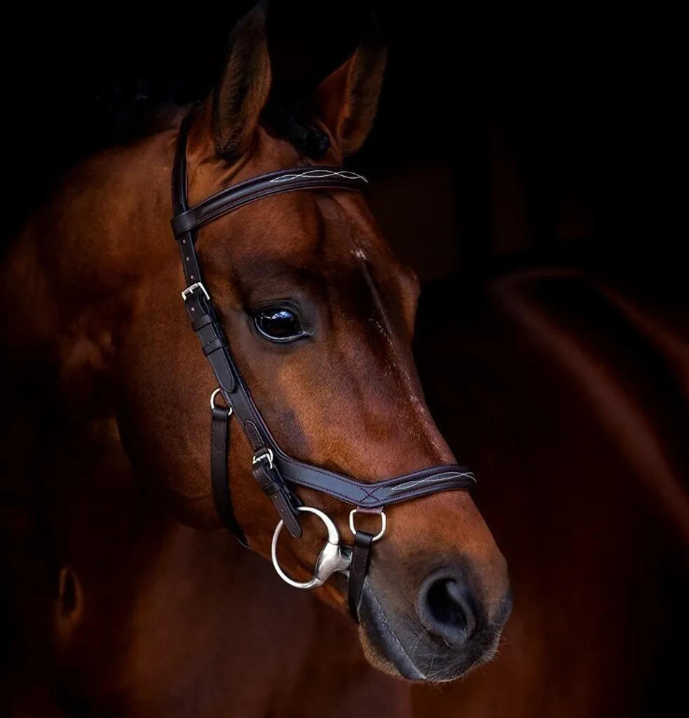 Bridon de Compétition Micklem Rambo Deluxe Noir pour Grand Cheval Sang Froid