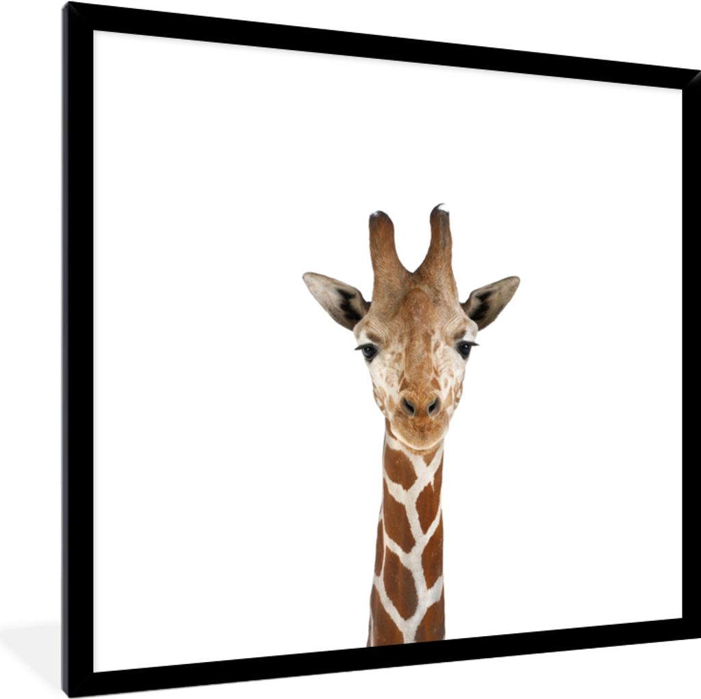 MuchoWow Gerahmtes Poster Wildtiere - Kinder - Giraffe - Tiere - Porträt 40x40 cm - Poster mit Schwarzem Bilderrahmen Wandposter Rahmen Foto Bil...
