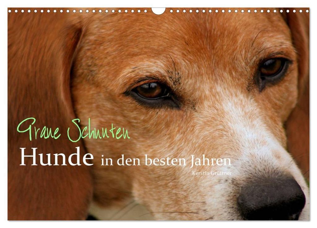 Graue Schnuten - Hunde in den besten Jahren (Wandkalender 2027 DIN A3 quer), CALVENDO Monatskalender