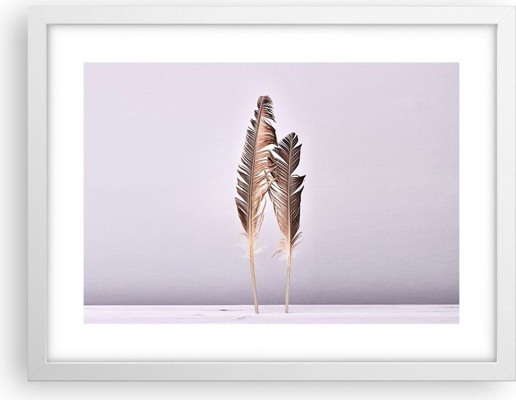 Gerahmtes Poster - Weißer Rahmen - Zwei Federn Flieder - 40x30 cm - Wand Bild - Wanddeko - Wandbilder - Kunstposter - Wandposter - Bilderrahmen - ...