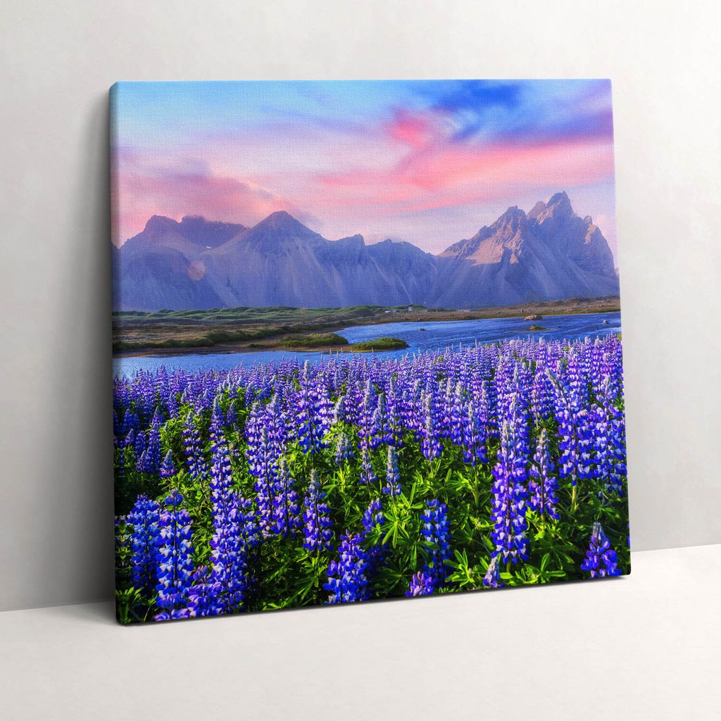 Lavender fields - Iceland – Leinwandbild Wandbild – 60x60 cm – Leinwandbilder – Wandbilder – Schlafzimmer – Flur