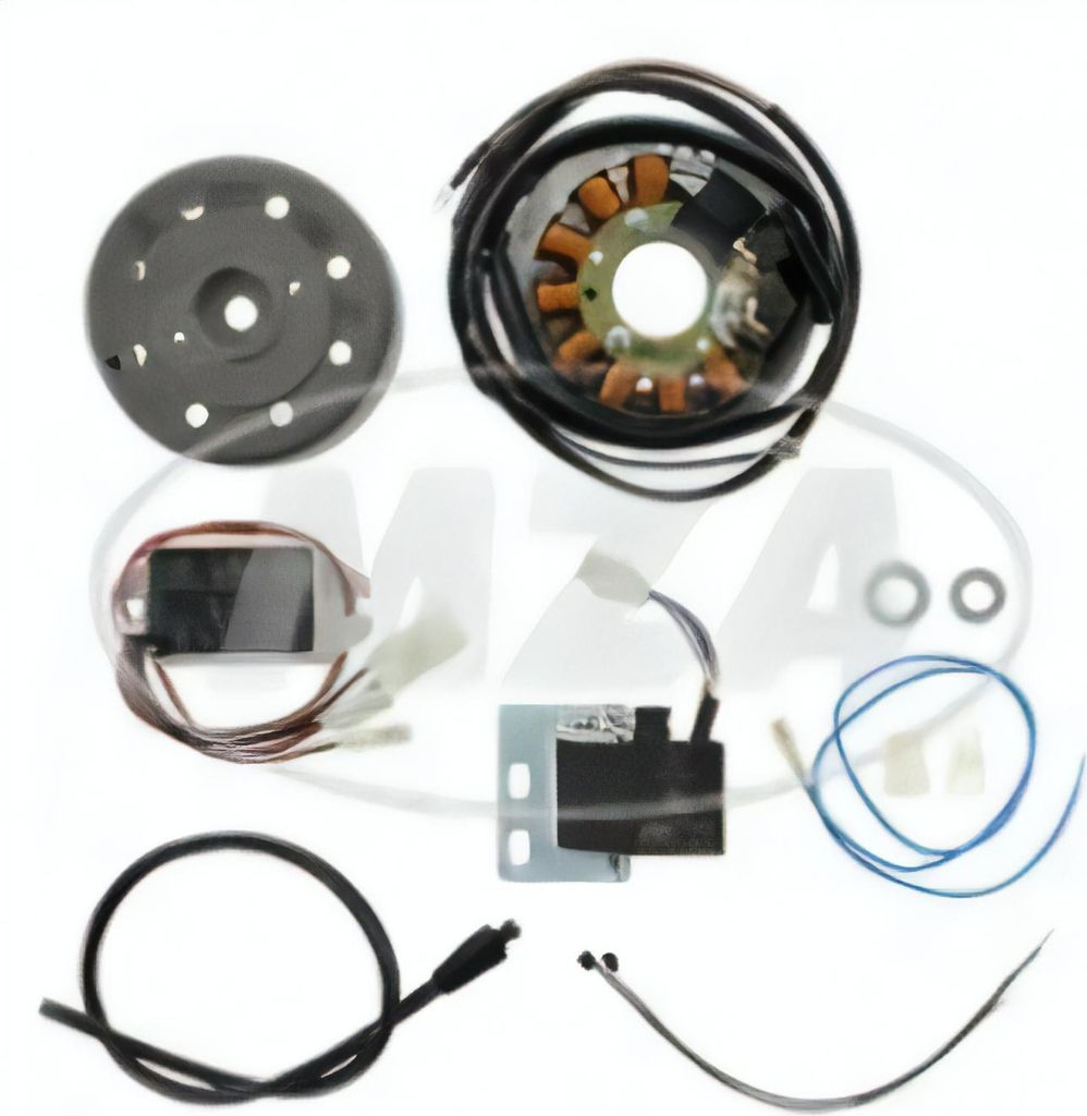 Simson Lichtmagnetzündanlage 12V / 100W mit integrierter vollelektronischer Zündung, DC / Gleichstrom - Vogelserie ohne Lüfterrad, auch SR50 / 1...
