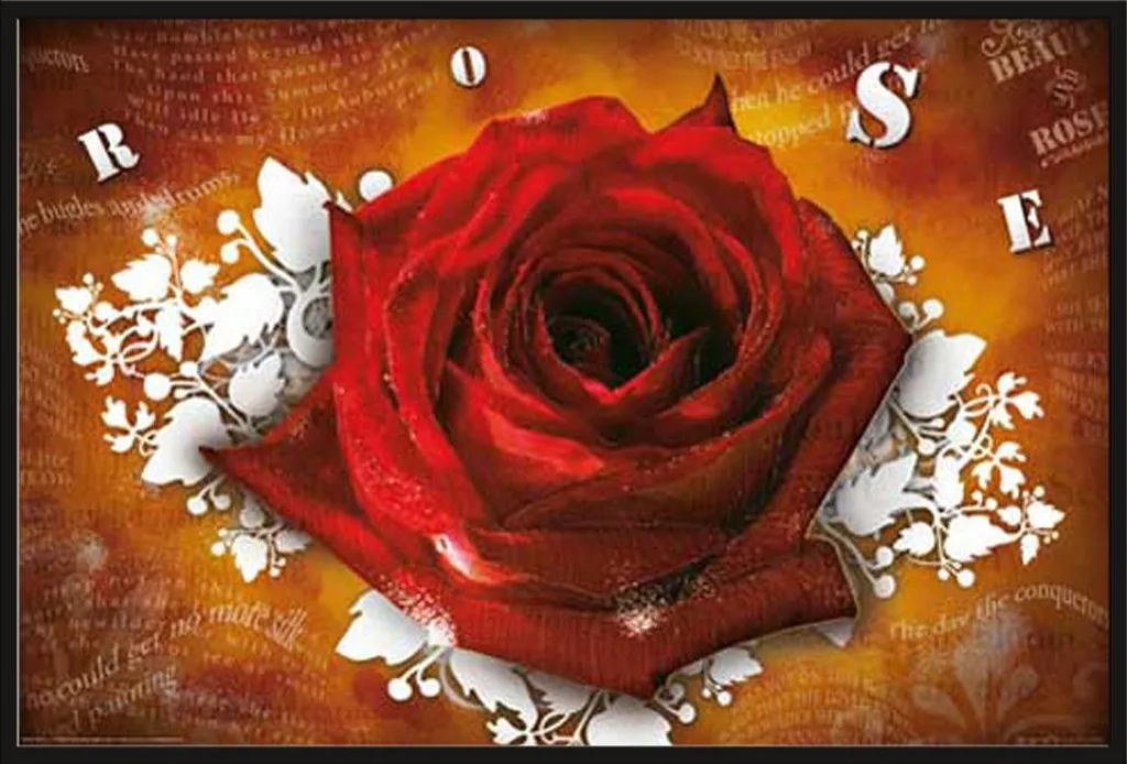 Affiche Rose Shinsuke Maxi avec Cadre Noir Interchangeable et Acrylique