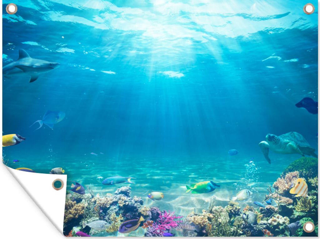 MuchoWow 80x60 cm Outdoor-Poster Gartendeko Sichtschutz Garten Poster für den Garten Unterwasserwelt - Meerestiere - Wasser - Korallen - Blau