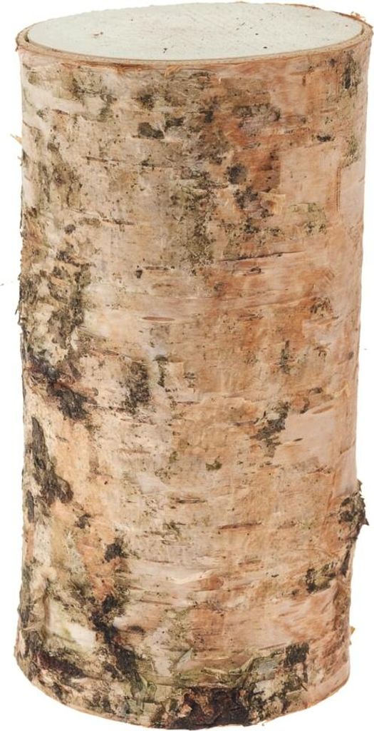 Birkenstämmchen für Basteln Deko in 5 x 10 cm