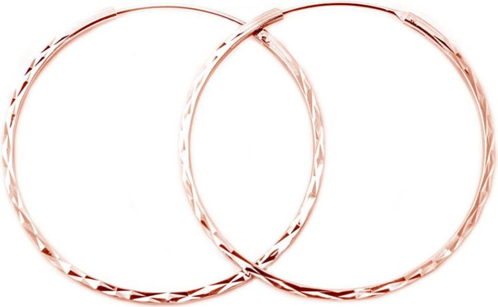 Fashion gold-plated round earrings made of silver AGUC2439 / SCS-ROSE - Diameter: 5 cm