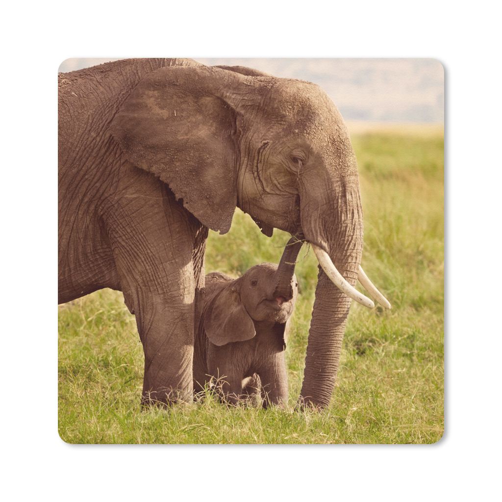 MuchoWow Mauspad Mousepad Elefant - Gras - Jung - Rüssel 20x20 cm - Mousepads - Maus Mat - Pad - Mausunterlage - Desk Mat - Bureauartikeln