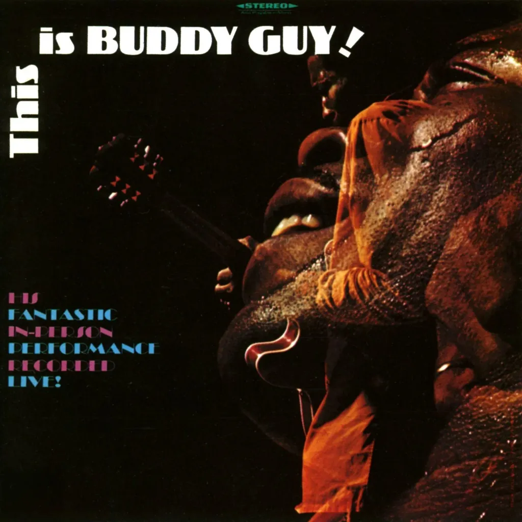 Vinyle Blues Buddy Guy Album LP Musique Salon Soirée Platine HiFi