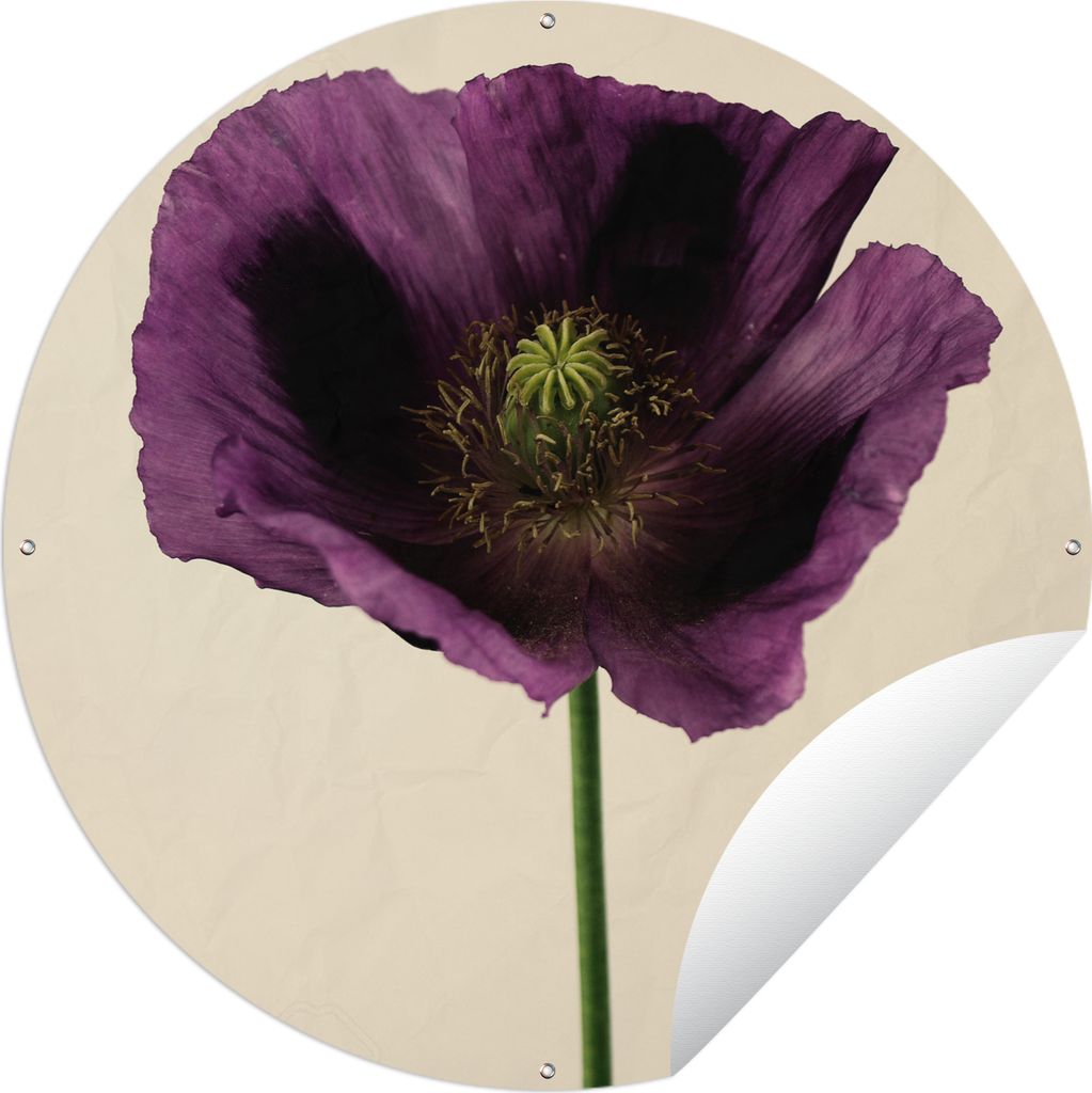 MuchoWow Gartenposter Outdoor-Poster Rund Nahaufnahme eines violetten Mohns Ø 60 cm Gartendeko Rundes Poster draußen