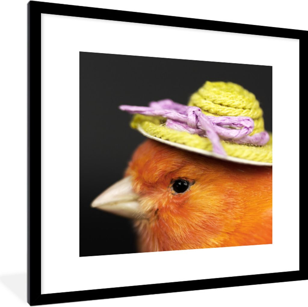 MuchoWow® Gerahmtes Poster Vogel - Hut - Orange 40x40 cm - Produktbild 