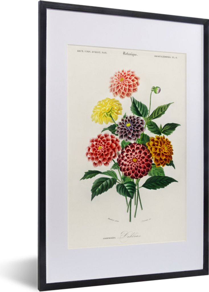 MuchoWow MuchoWow Gerahmtes Poster Botanik - Weinlese - Blumen 40x60 cm - Poster mit zchwarzem Bilderrahmen - Poster in Rahmen
