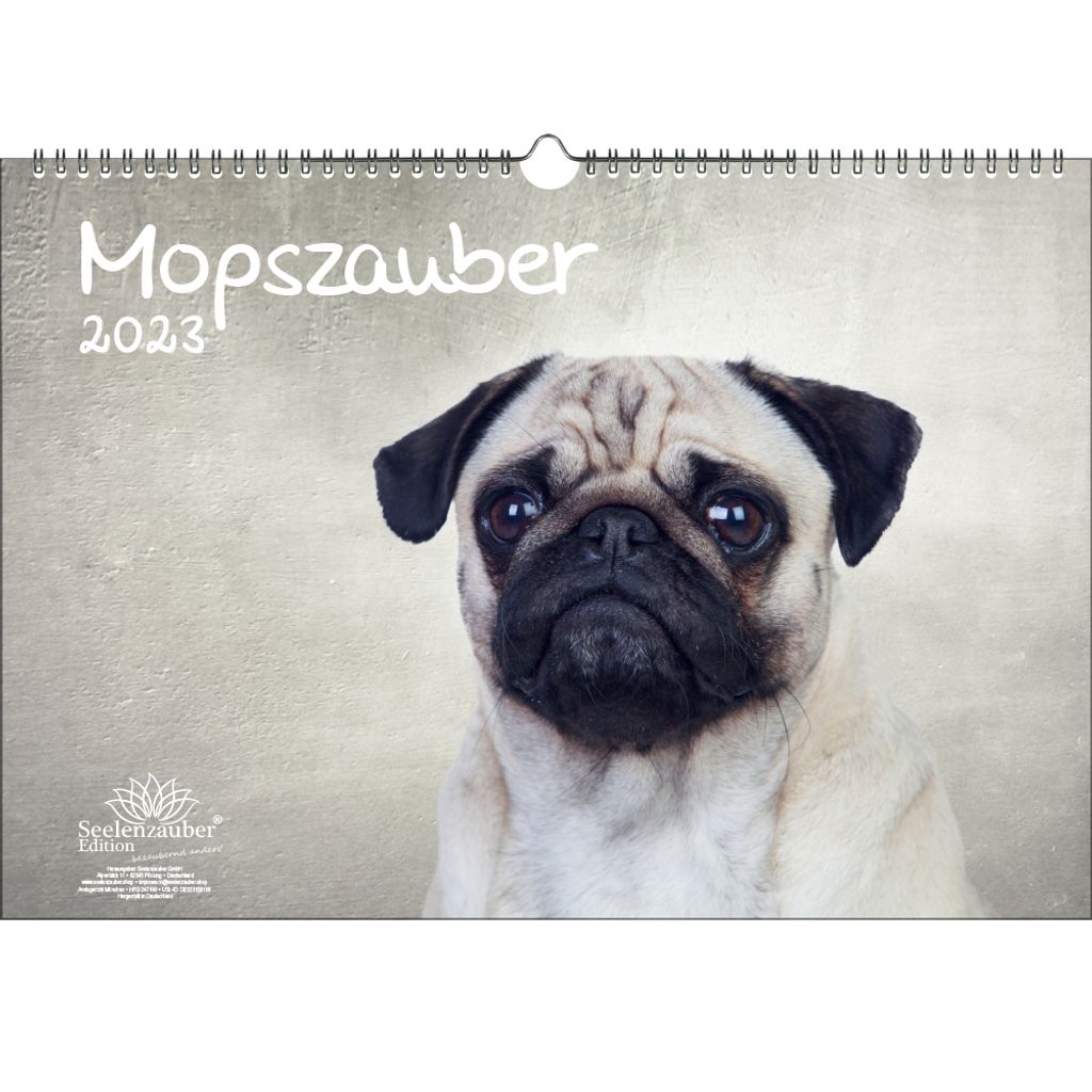 Mopszauber DIN A3 Kalender für 2023 Mops  Kaufland.de