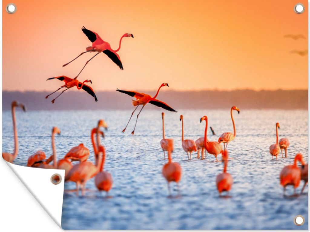 MuchoWow 40x30 cm Outdoor-Poster Gartendeko Sichtschutz Garten Poster für den Garten Vogel - Flamingo - Wasser - Sonnenuntergang - Rosa