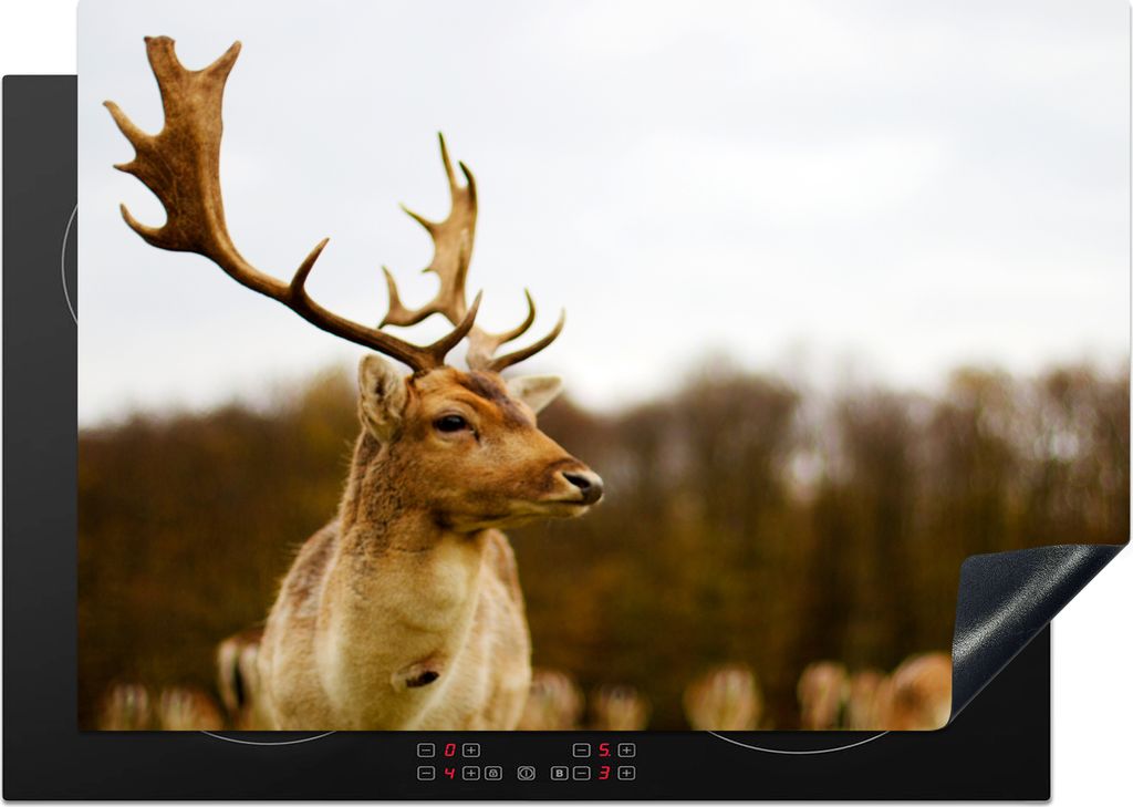 KitchenYeah Herdabdeckplatte Damhirsch - Wald - Herde - Tiere - Natur , 75x52cm, Küche Deko, Glaskeramikkochfeld Herdabdeckung, Abdeckplatte fù...
