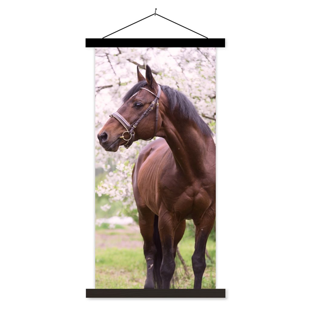 MuchoWow Textilposter Pferd - Sakura - Halfter 40x80 cm mit schwarzem Rahmen - Wandemalerei