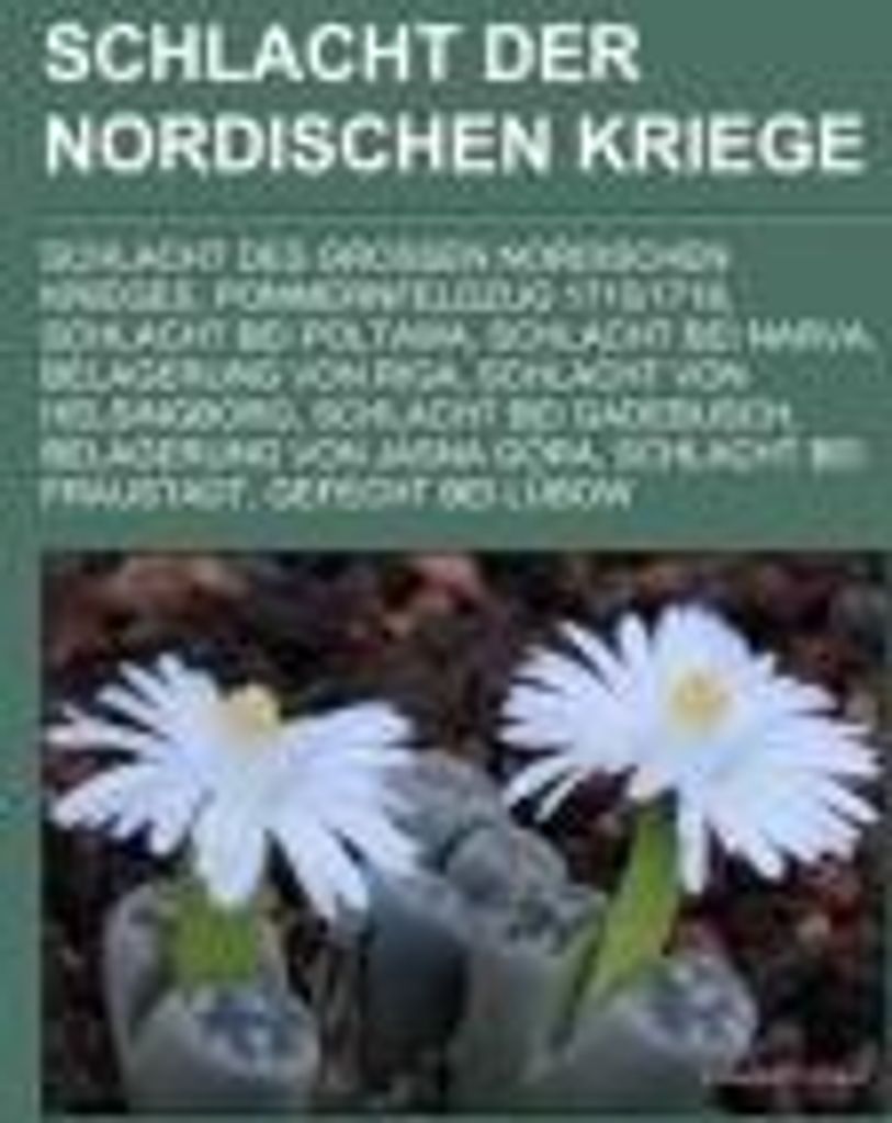 Schlacht der Nordischen Kriege
