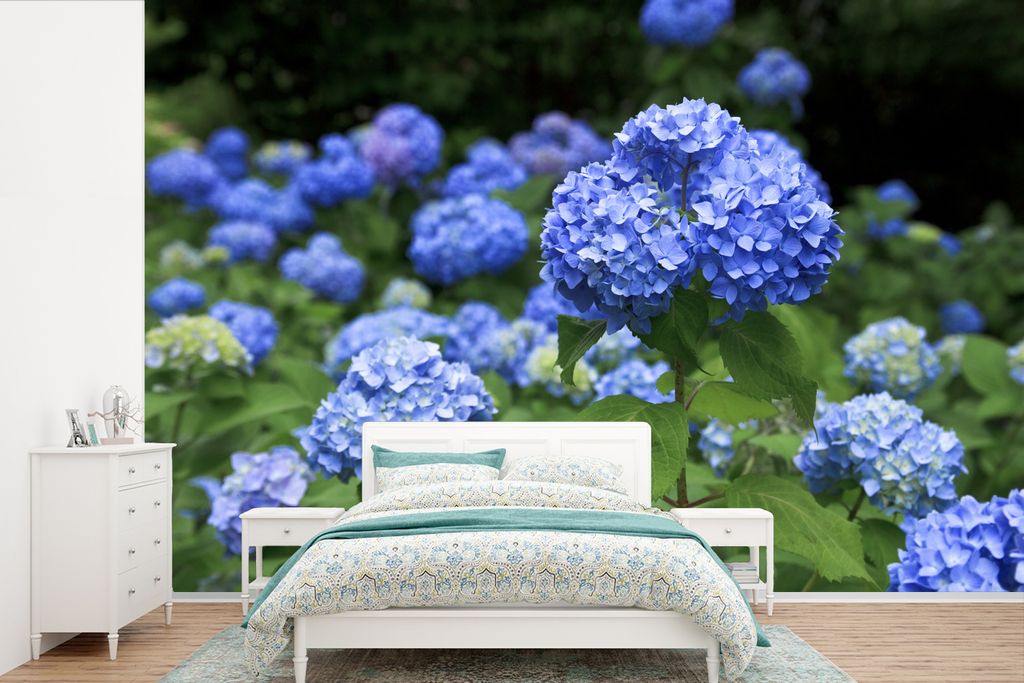 MuchoWow Fototapete für Wohnzimmer oder Schlafzimmer Wandtapete Vinyl Motivtapete Blaue Hortensienblüten - 360x240 cm - Vinyl-Tapete