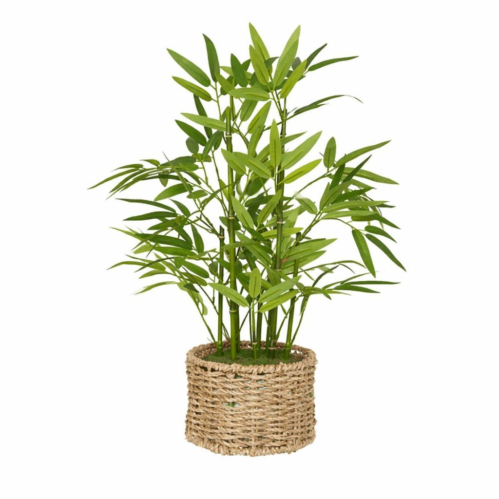 Kunstbambus 46 cm – pflegeleichte Kunstpflanze mit realistischen grünen Blättern in natürlicher geflochtener Deko-Pot – Grün