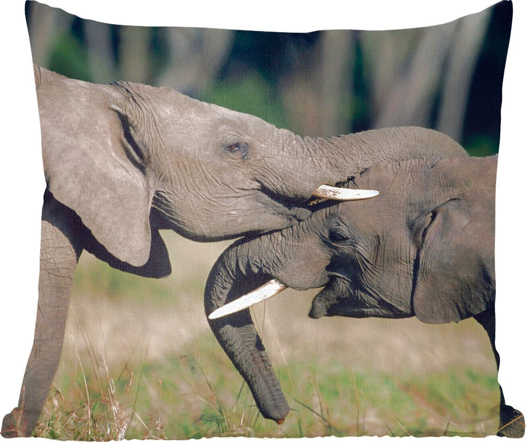 MuchoWow Zierkissen Sofakissen Wohnzimmer Dekokissen 40x40 cm Elefant - Tiere - Grau - Natur - Foto Kissen - Schlafzimmer Dekoration