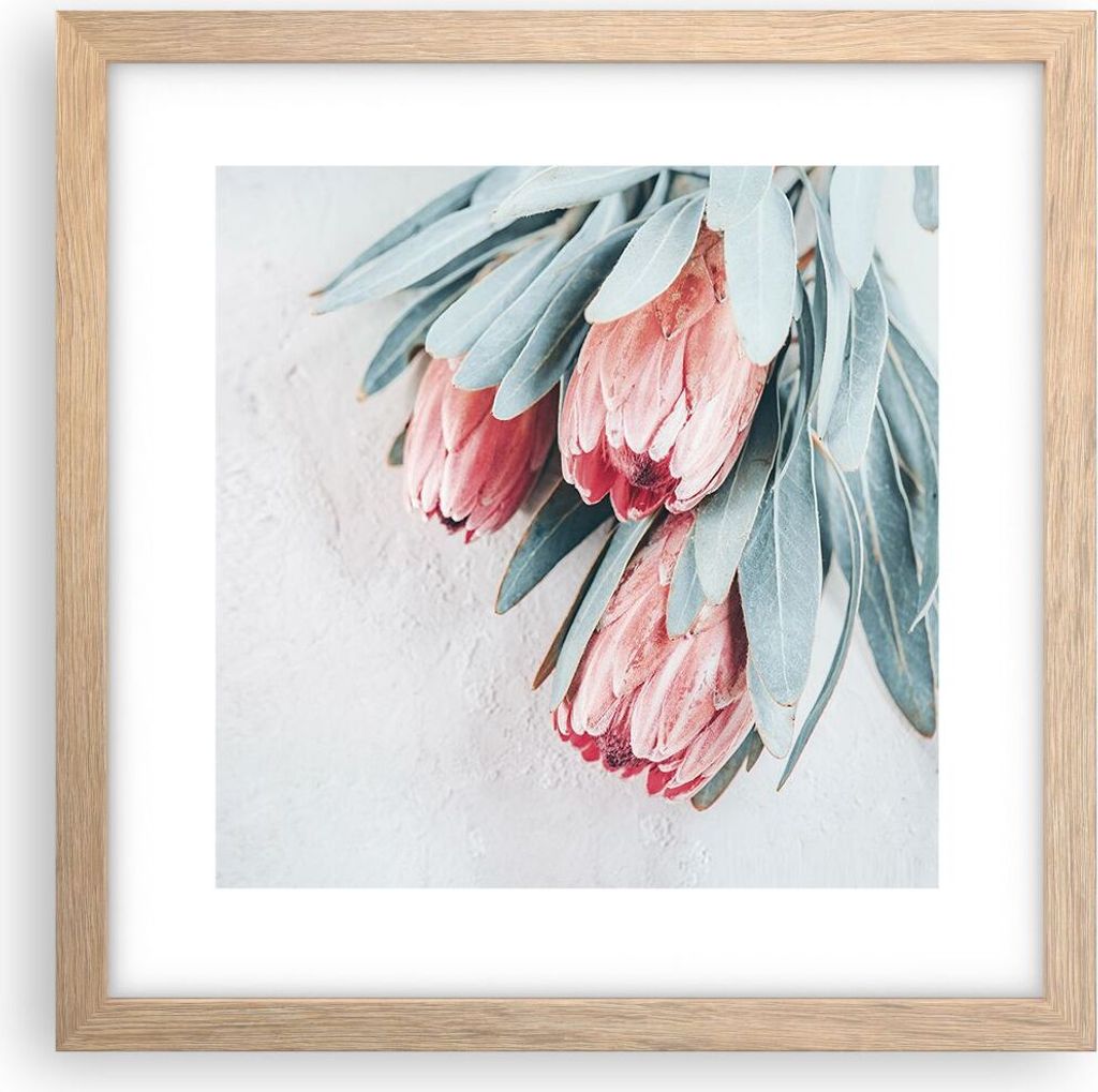 Gerahmtes Poster - Rahmen in heller Eiche - Blume Eukalyptus Australier - 30x30 cm - Wand Bild - Wanddeko - Wandbilder - Kunstposter - Wandposter -...