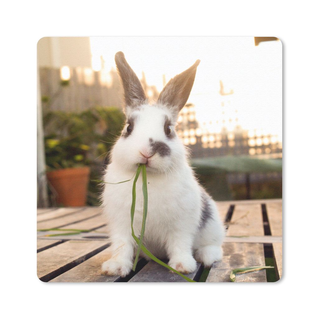 MuchoWow Mauspad Mousepad Kaninchen - Baby - Essen 20x20 cm - Mousepads - Maus Mat - Pad - Mausunterlage - Desk Mat - Bureauartikeln