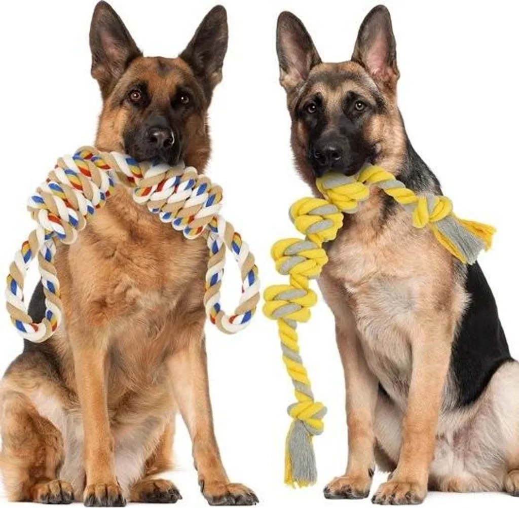 Jouet corde coton naturel 55cm ultra-résistant pour chien de taille moyenne