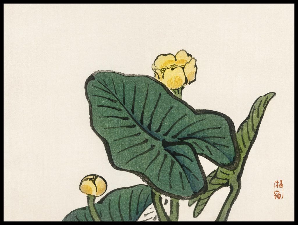 Plakat 80x60cm Wasserlilie, Kōno Bairei Japanisches Vintage für das Wohnzimmer