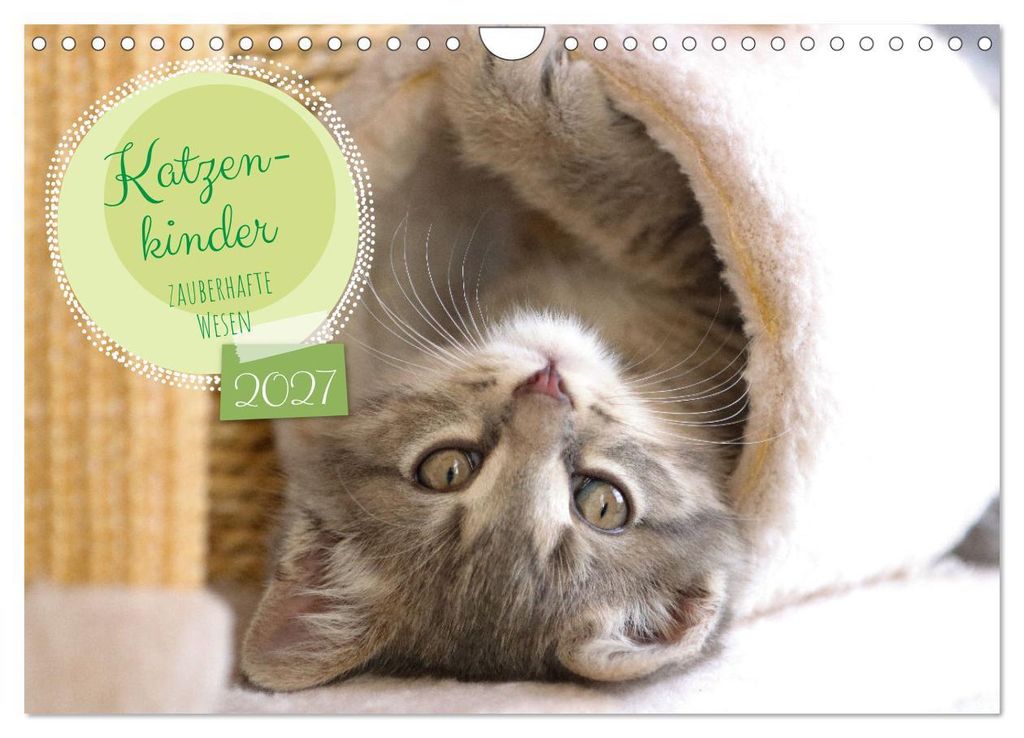 Katzenkinder - zauberhafte Wesen (Wandkalender 2027 DIN A4 quer), CALVENDO Monatskalender
