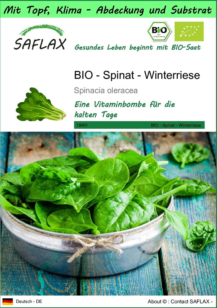 SAFLAX Garden to go - BIO - Spinat - Winterriese - Spinacia oleracea - 250 Samen - Mit Topf, Klima - Deckel und Anzuchtsubstrat