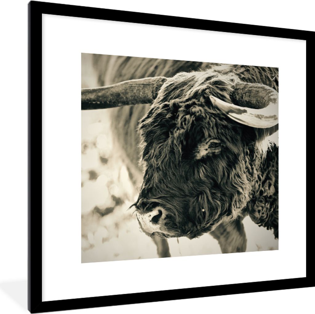 MuchoWow Gerahmtes Poster Schottischer Highlander - Schnee - Hörner 40x40 cm - Poster mit Schwarzem Bilderrahmen Wandposter Rahmen Foto Bilder -...